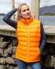 Ladies' Ice Bird Padded Gilet Mellény